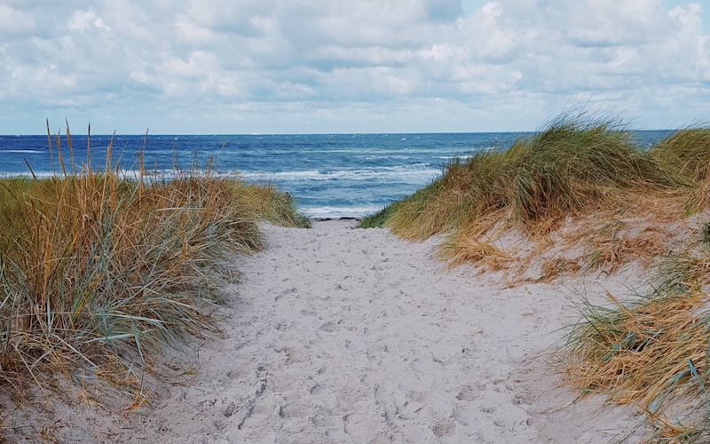 Dünenweg an der deutschen Ostseeküste